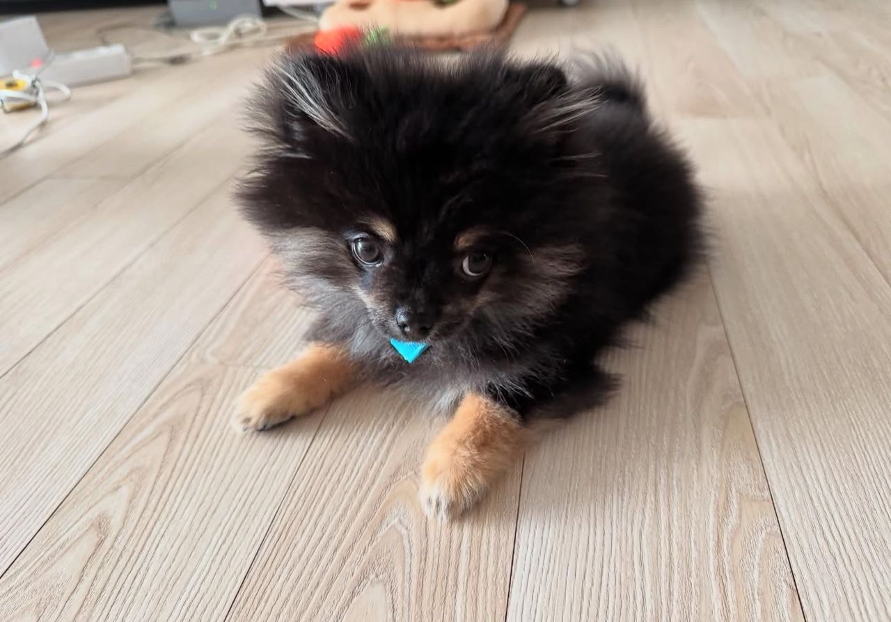 Antony - Thumbnail 2