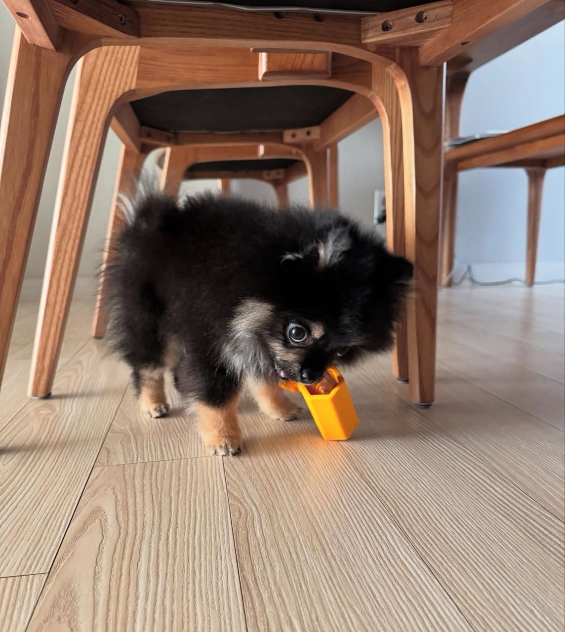 Antony - Thumbnail 3