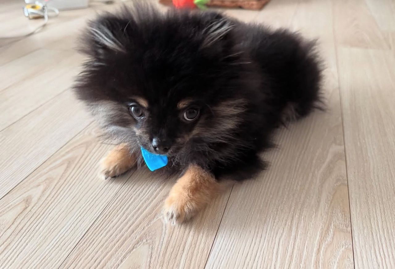 Antony - Thumbnail 4