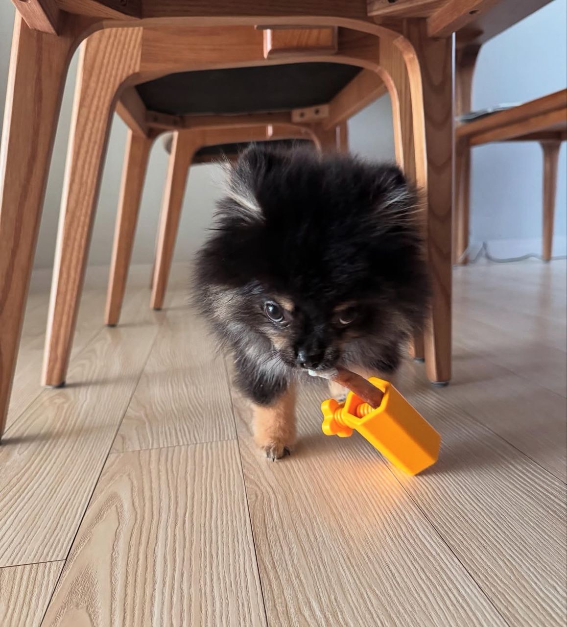 Antony - Thumbnail 5