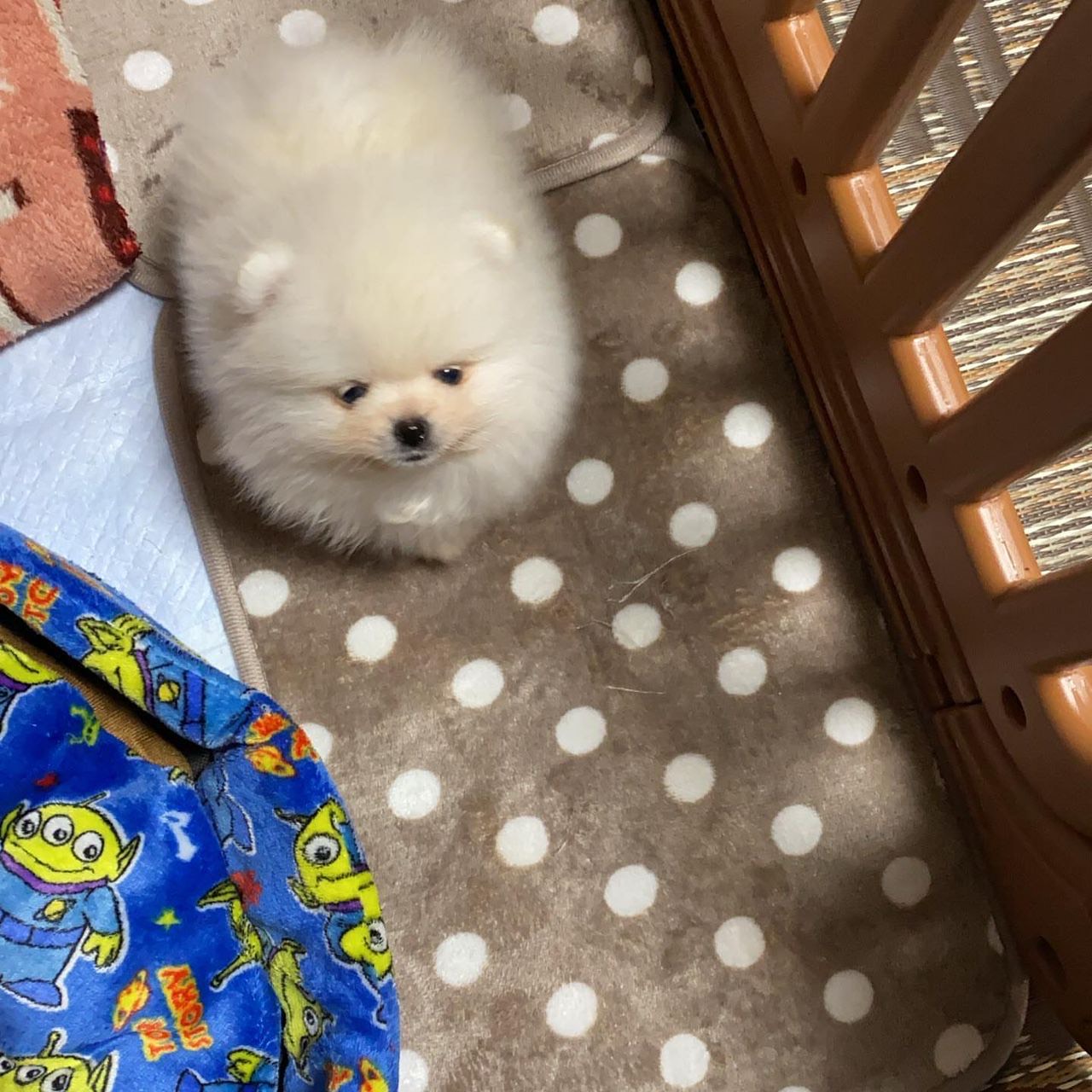 Cooper - Thumbnail 3