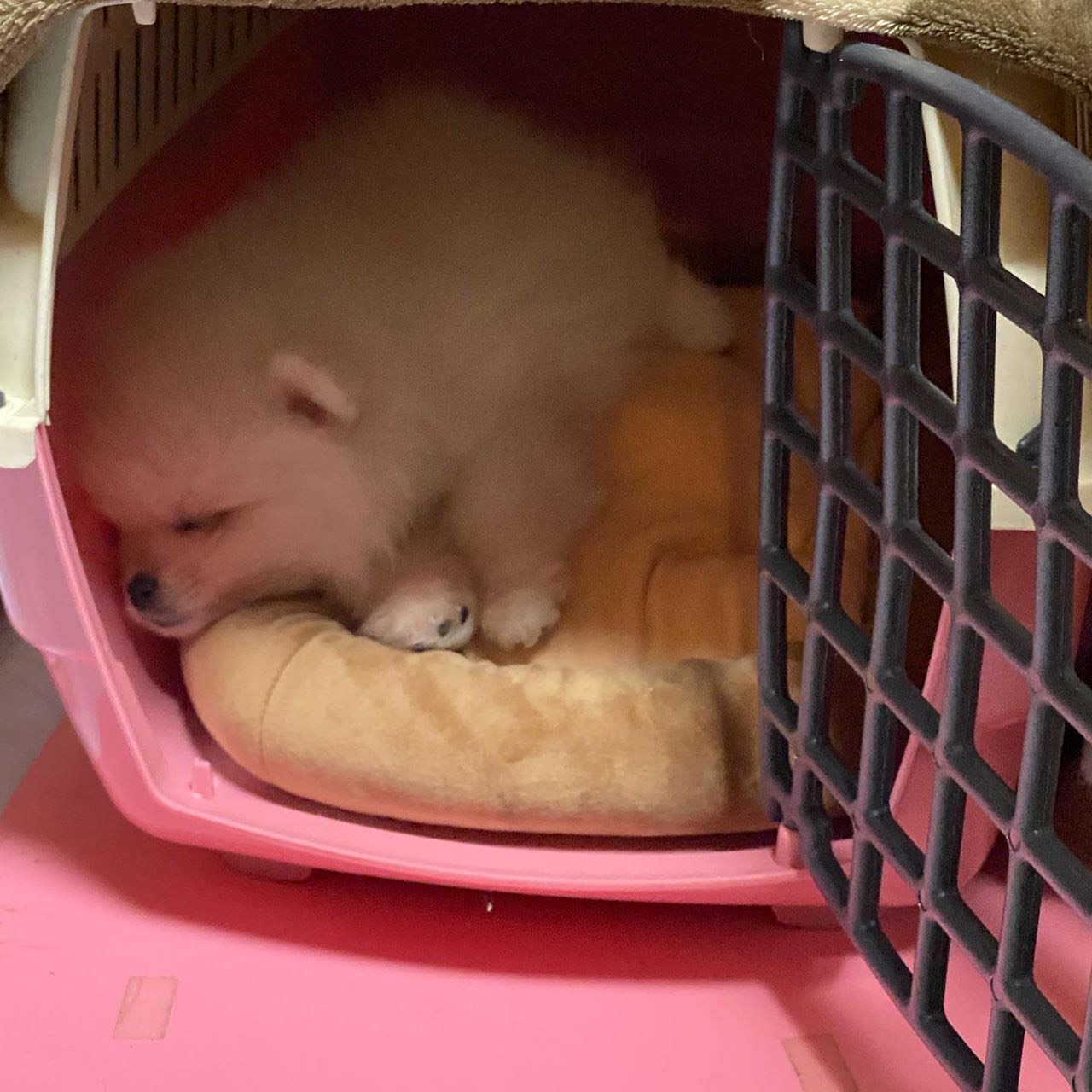 Cooper - Thumbnail 4